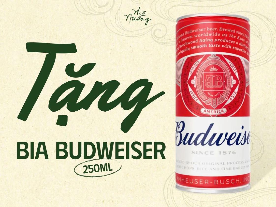TẶNG BIA BUDWEISER 250ML