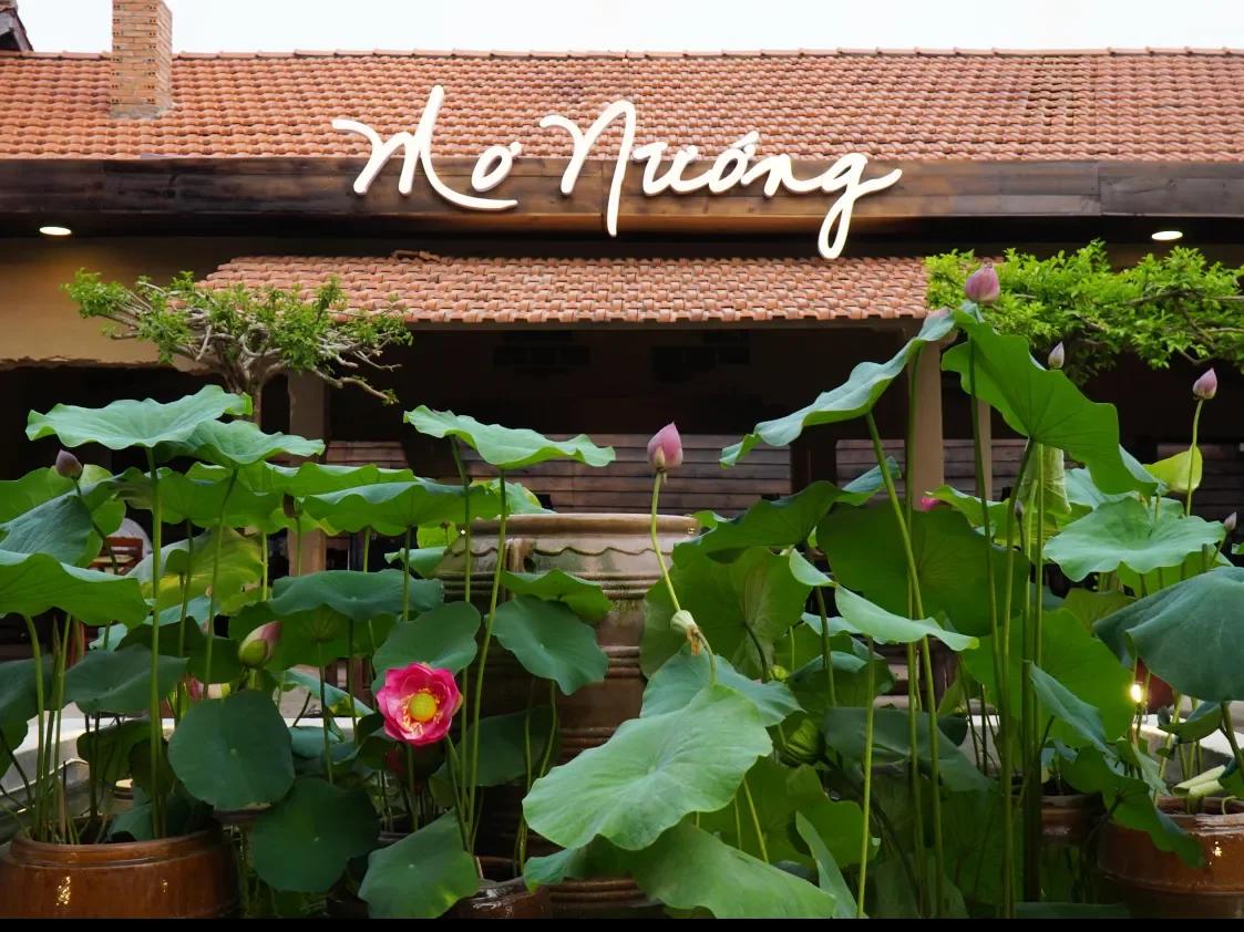 Mơ Nướng – Câu chuyện Nhà Mơ